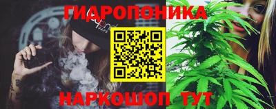 стафф Будённовск