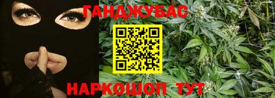 стафф Будённовск