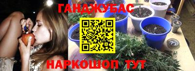 стафф Будённовск